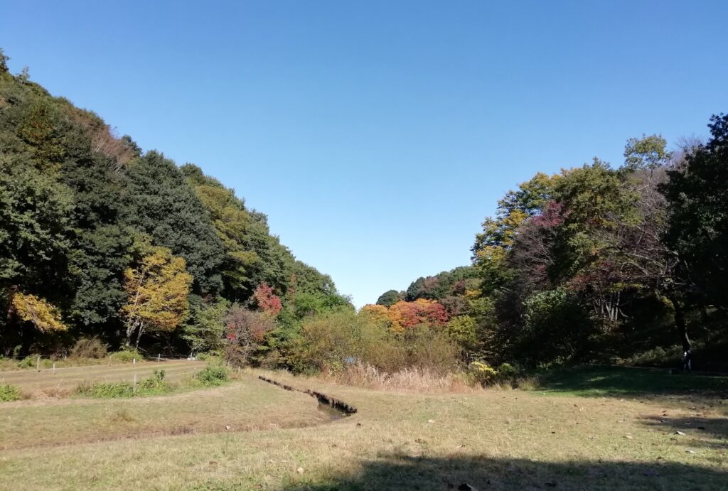 相続した山林の場所を探す方法
