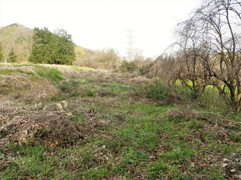 相続した場所の分からない原野を特定する方法