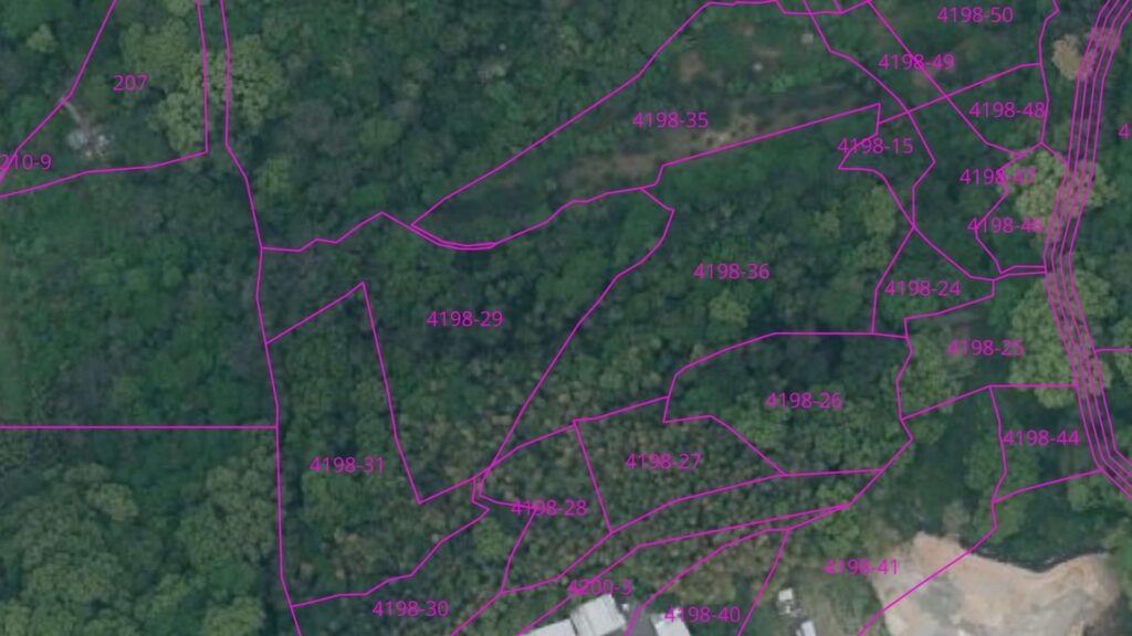 場所不明土地特定サービスの地番図イメージ