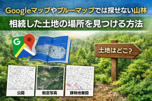 Googleマップやブルーマップでは探せない山林