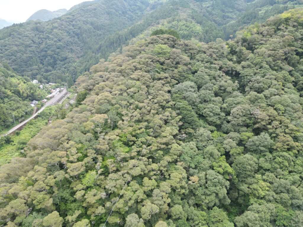 山林全体を上空から撮影したドローン空撮写真。樹木が生い茂る山林と周辺の道路や集落の位置関係が分かる様子。