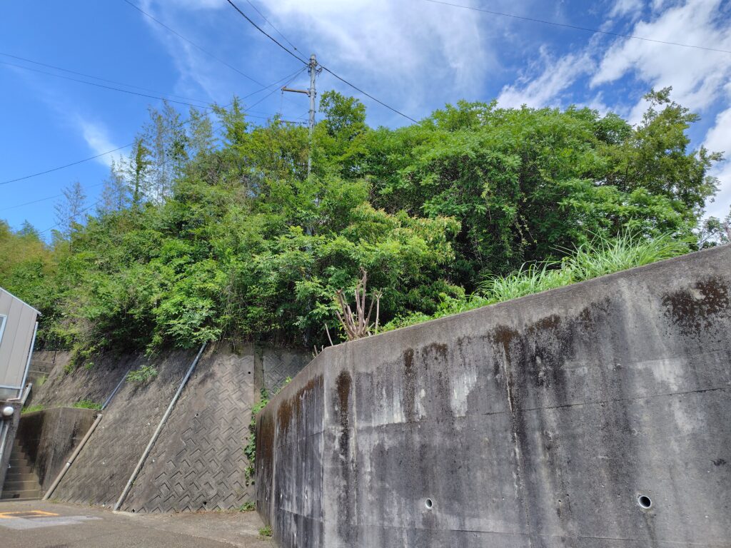 擁壁上の斜面地に樹木が繁茂している土地の現況。位置特定や境界確認のための現地調査対象地