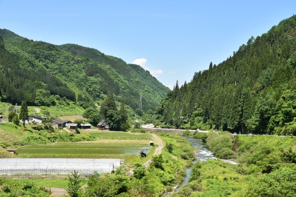 山間地域の農地と山林の風景（場所が分かりにくい土地の例）