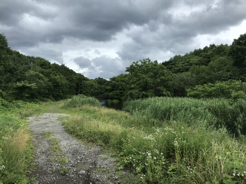 原野商法で取得された場所不明の山林のイメージ｜地番から土地の場所を特定する対象例