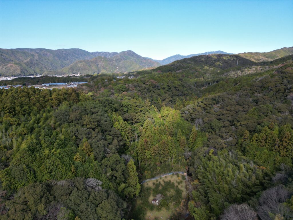 山林や急斜面に広がる場所不明の土地のイメージ（売却が難しい土地の例）