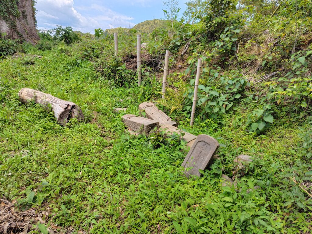 長年放置され雑草が繁茂した相続土地の現況