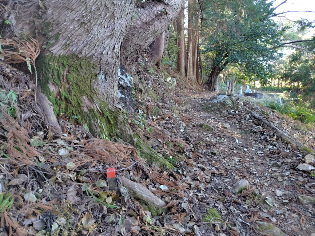 登記簿だけでは分からない山林境界の現地確認